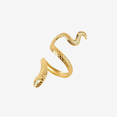 Anel Víbora Ajustável Banhado em Ouro 18K