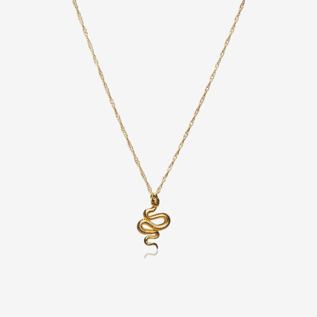 Colar Víbora Pingente Banhado em Ouro 18K